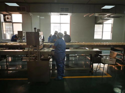 陜西五大供應(yīng)鏈行業(yè)標(biāo)桿企業(yè)創(chuàng)始人齊聚，分享數(shù)字化轉(zhuǎn)型之路與西安網(wǎng)站建設(shè)經(jīng)驗